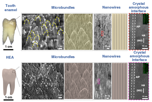 3. Lightweight and high strength amorphous nanomaterials and their applications